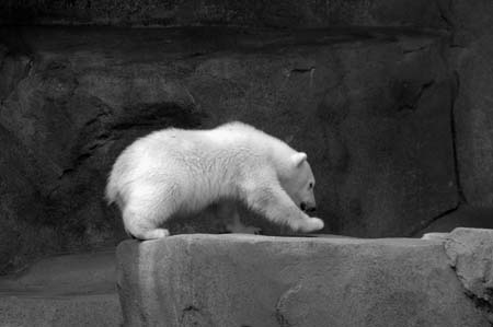 BW-DSC_0050