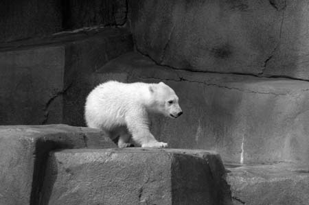 BW-DSC_0053