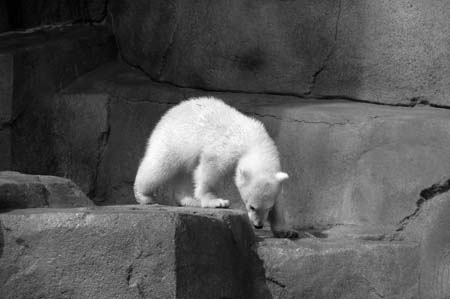 BW-DSC_0054