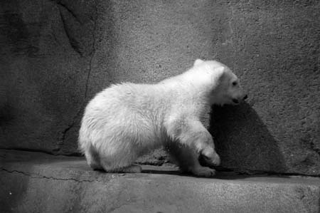 BW-DSC_0055