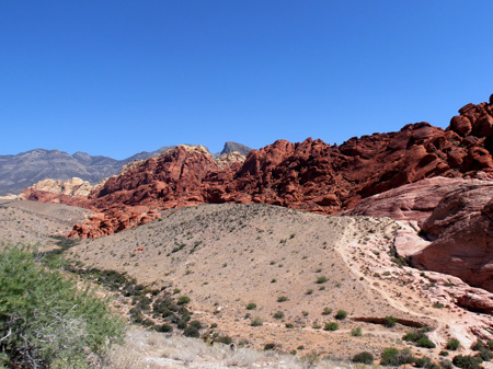 P6090007