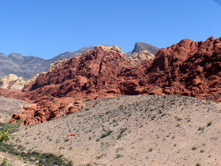 P6090015