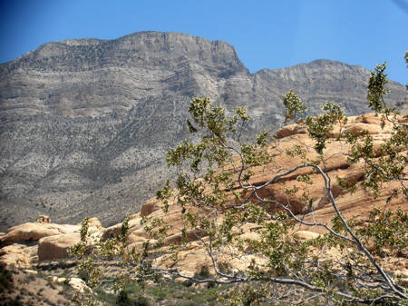 P6090024