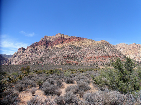 P6090043