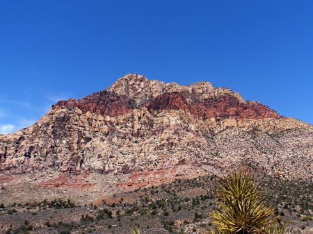 P6090046