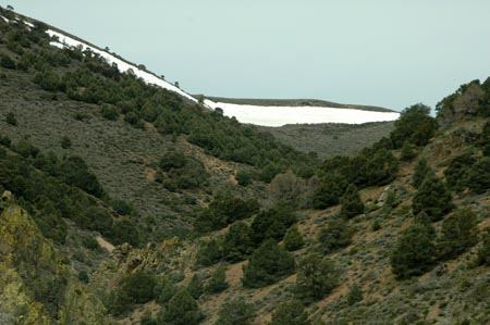 rno_j105