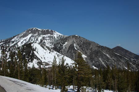 rno_j413