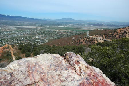 rno_p006