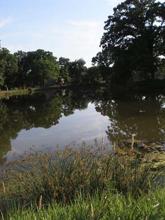 P7010012