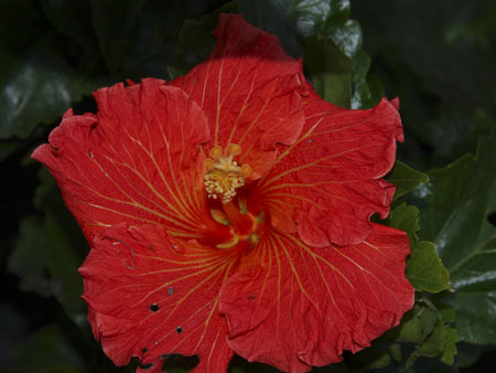 P2270857