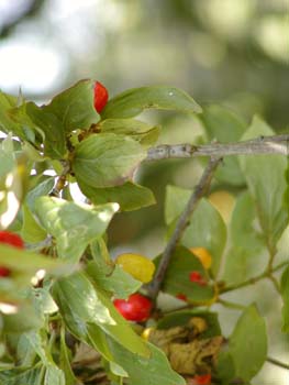 P8230074