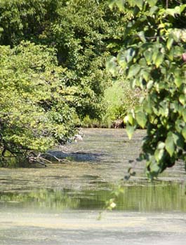 P8230081