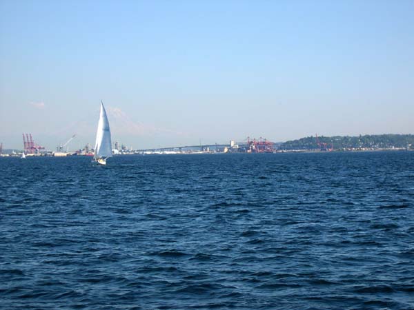 DSCN2602