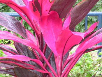 DSCN0705