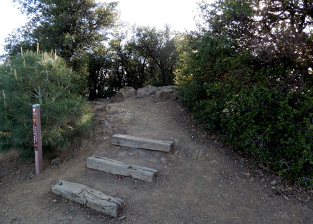 DSCN1309
