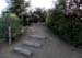 DSCN1309