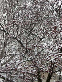 DSCN0506