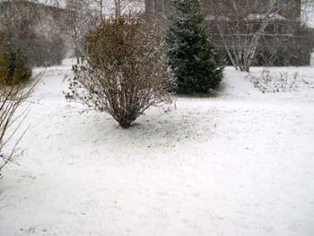 DSCN0510