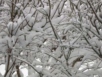 DSCN0512