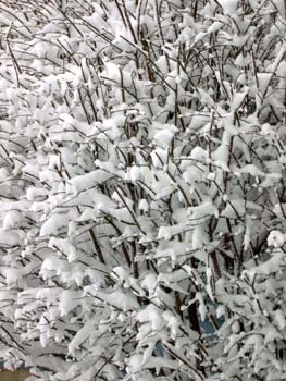 DSCN0519