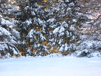 DSCN0569