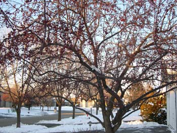 DSCN0619