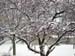 DSCN0522