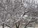 DSCN0524