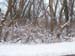 DSCN0536