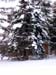 DSCN0543
