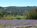 10MatanzasCreek-P7102740
