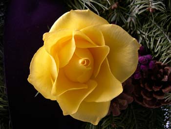 DSCN1181