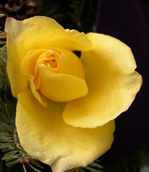 DSCN1193-c
