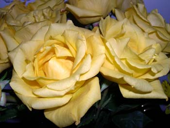 DSCN1198