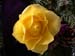 DSCN1181