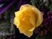 DSCN1182