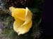 DSCN1192