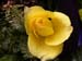 DSCN1193
