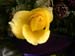 DSCN1194