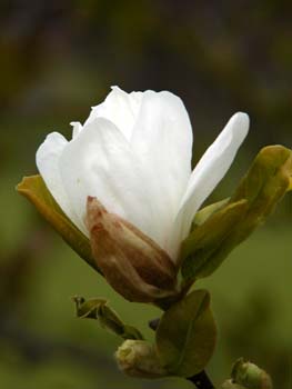 P4240055