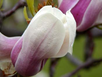 P4240061