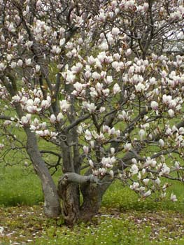 P4240071
