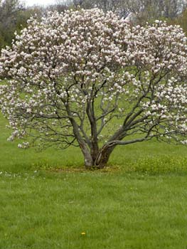 P4240074