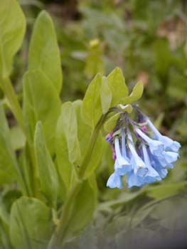 P4240102