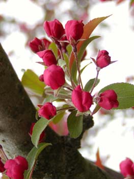 P4240111