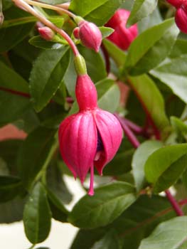 P4240145