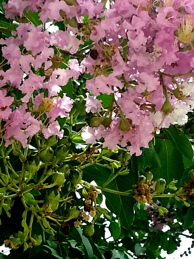 20130804_143139
