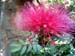 mp20130108_115524