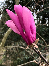 IMG_6605