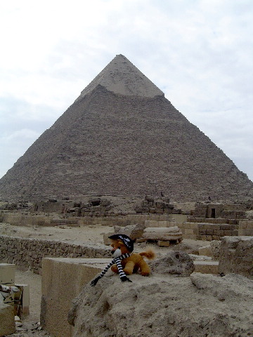 image12
